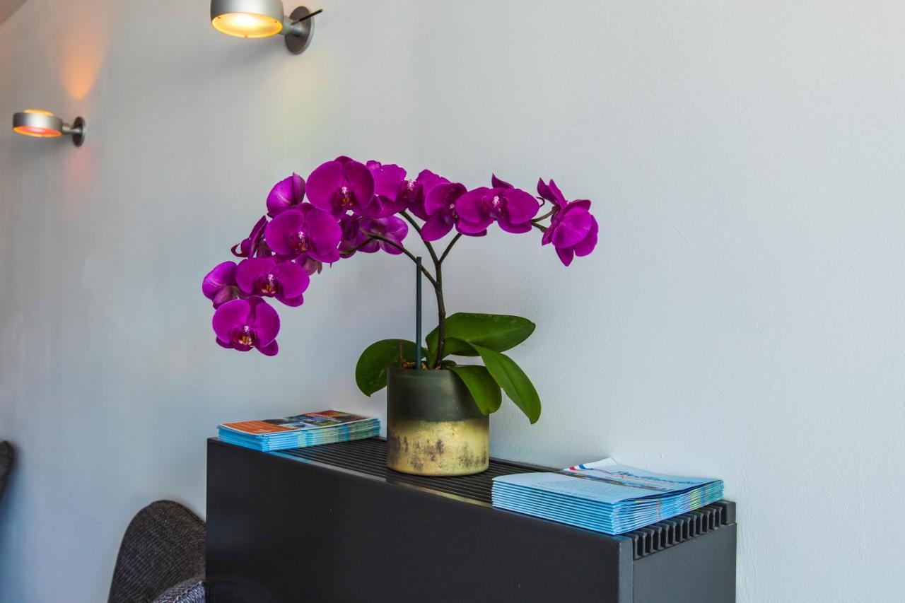 Hotel La Rosa Amsterdam Beach 잔드보르트 외부 사진